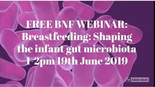 BNF Webinar: Shaping the infant gut microbiota 19th June 2019
