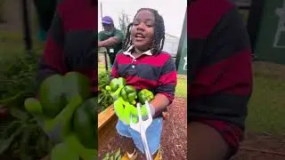 2025 Fall Hagler Gardening Club Kick-Off