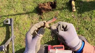 Metal Detecting with Dad - The Buried Treasure of a Lost Sea Lion