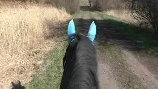 ASMR - virtual horse ride | April 2022