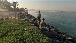 Short fishing with colleagues.. 
