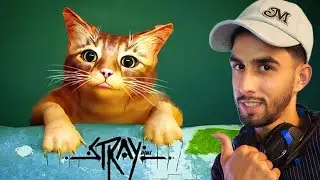 A CAT&rsquo;S JOURNEY  | I BECAME A CAT&hellip;(Hindi) | STRAY GAMEPLAY PART 1