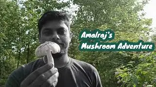 Collecting Mushrooms on the field in Tenkasi #villagelife #tenkasilife
