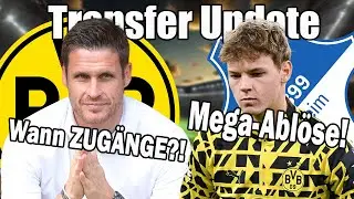 BVB: Mega-Ablöse für Campbell! Kommt jetzt Bobb?! Silva will Klarheit