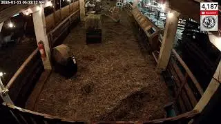 Saturday Night Live - SFF Goat Farm