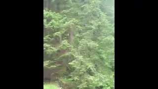 Valea Rea, Făgăraș mountain, Romania