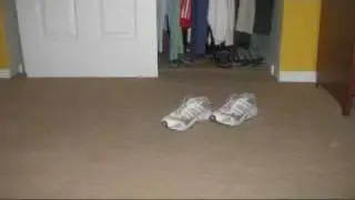 Stop Motion ~ i gotta feeling by black eyed peas