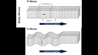 Physical simulation - Propagation of P and S waves