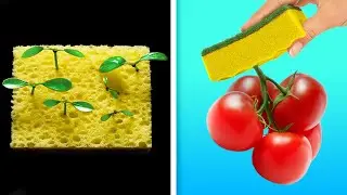 25 MODI FACILI PER COLTIVARE FRUTTA E VERDURA