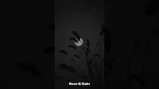 🕌 Peaceful Sleeping Nasheed | Heart Touching Islamic Lofi by Muhammad Al Muqit 🌙#IslamicNasheed #Dua