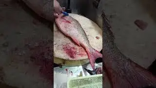 Amazing Red Snapper (Tomato Fish) Cutting & Slicing Skills | Fresh Professional Seafood Preparation
