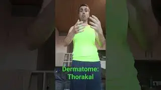 Dermatome - Thorakal #facharztpr&uuml;fung_neurologie