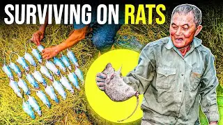 Rodent Riches: How a Mekong Village Turned Rats into Millions!