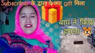 साल के आखिरी दिन क्या तोहफ़ा दिया सब्सक्राइबर ने 🎁 बाघ ने किया हमला 🐯#village #pahadi @PahadiBiker 