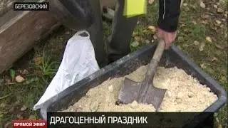 Уральское Эльдорадо: в Берёзовском прошел мастер-класс по добыче золота