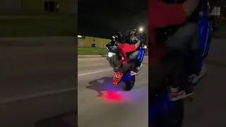 Tandem Wheelie a Honda CBR600 - The Ultimate Challenge!