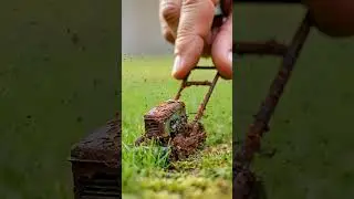 Rusty Mini Lawn Mower Cuts Tiny Grass 😱🌱 | Tiny Tool Chaos