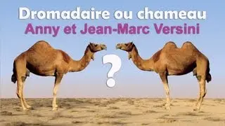 Anny Versini, Jean-Marc Versini - Dromadaire ou Chameau - Clip officiel