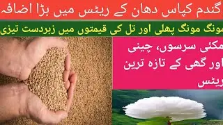 Makki Rate | Wheat Price | Gandam Rate Today | Peanut Price | Sarso Price | Sugar Price | Ghee Rate