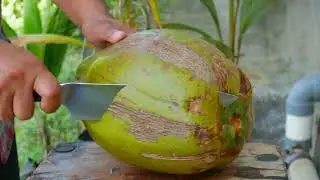 satisfying coconut cutting asmr | 01