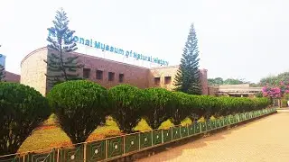 Regional museum of natural history. Bhubaneswar