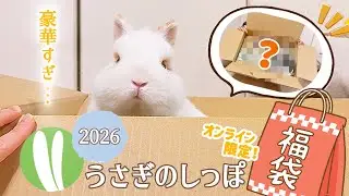 【うさぎのしっぽ福袋】まさかの1万円相当以上！？？福袋の中身が大当たりすぎた💰