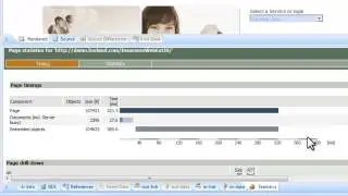 Silk Performer 10.0 Tutorial - Test Script Creation and Customization