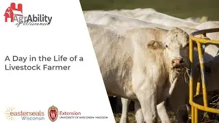 A Day in the Life of a Livestock Farmer