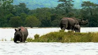 Incredible Assam, Beauty of Assam. full HD