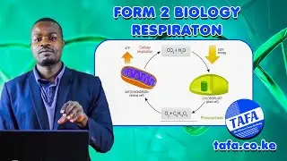 FORM 2 BIOLOGY - RESPIRATION - THE ACHIEVERS FOCUS ACADEMY (TAFA)
