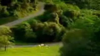 relaxing car drive...