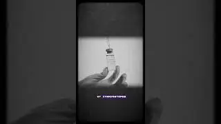 Что такое L-теанин ?