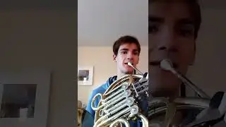 This was the best I could find :') (Beethoven Symphony 8 4th movement horn solo)