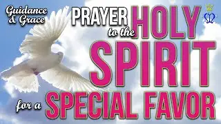 🕊️ Guidance and Grace: A Prayer to the Holy Spirit for a Special Favor