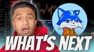 ЧТО ЖДЁТ $TOSHI?! ВОССТАНОВИТСЯ ЛИ $TOSHI?! ОБНОВЛЕНИЕ TOSHI MART?!