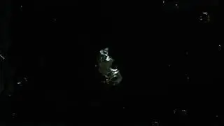 Bubbles (Stock Footage)