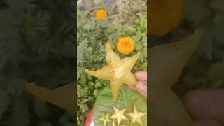 Star fruit juice 🤤 #tasty #food #starfruit #shorts