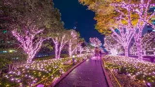 Best Columbus Ohio Holiday Light Shows 2020- Christmas Light Displays Columbus OH 2020