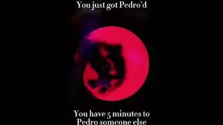 pedros callin