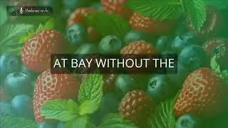 Benefits of Eating Berries Daily for Your Health
