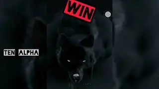 TEN Alpha x Anonymous N - Win (official audio) [Prodby Pianist the Producer]