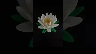 Druk 3D: Lilia wodna z filamentu 🌸 #3dprinting #3dprinted #druk #3dprint #3dprinter
