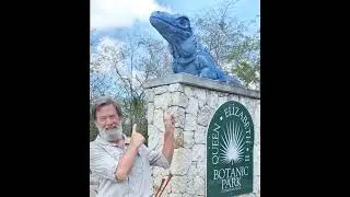 Blue Iguanas of Grand Cayman, giant lizards that are the ecological #GardenersoftheForest