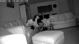 Never leave your snack  bowl out at night 