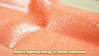 Natural Daylight Energy Solution | Reduce Energy  