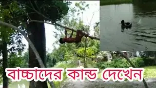 মানুষ বান্দর দেখেন।