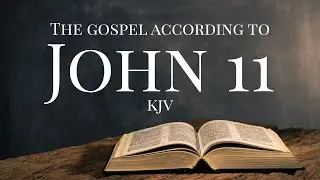 The Resurrection of Lazarus | John 11 KJV