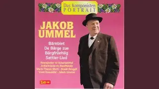 Bärnbiet