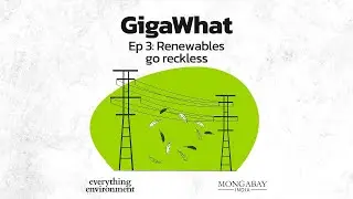 GigaWhat Ep 3: Renewables go reckless