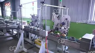 Intelligent Fruit Sorting Solution for Export Quality & Profit